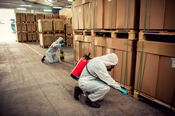Best Best Pest Control Companies  in Merton, WI