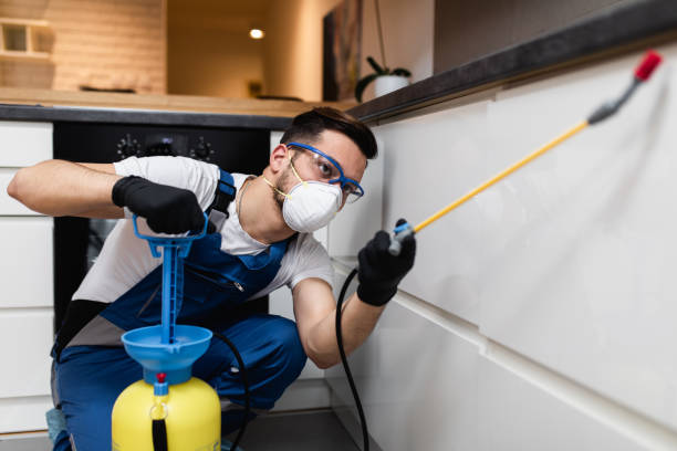 Best Pest Control Near Me  in Merton, WI