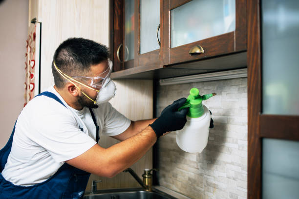 Best Exterminator Services  in Merton, WI