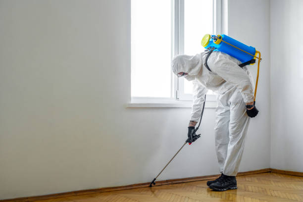 Best Local Pest Control Services  in Merton, WI