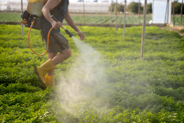 Best Commercial Pest Control Services  in Merton, WI