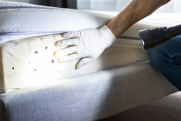 Best Emergency Pest Control  in Merton, WI