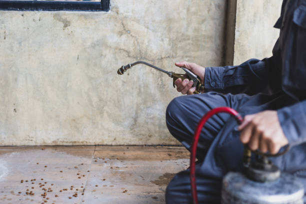 Best Termite Control Services  in Merton, WI